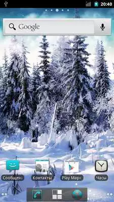 Play Husky 3D Live Wallpaper