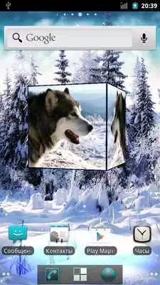 Play Husky 3D Live Wallpaper