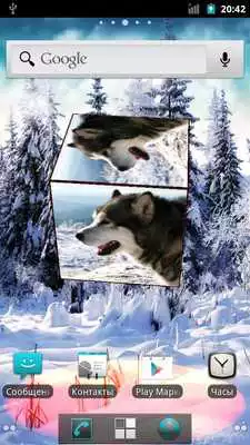 Play Husky 3D Live Wallpaper