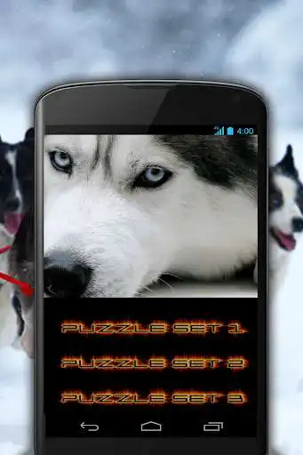 Play Husky Dog Rescue  and enjoy Husky Dog Rescue with UptoPlay