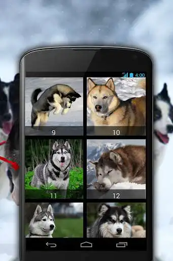 Play Husky Dog Rescue as an online game Husky Dog Rescue with UptoPlay