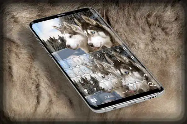 Play Husky in Snow keyboard