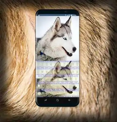 Play Husky in Snow keyboard