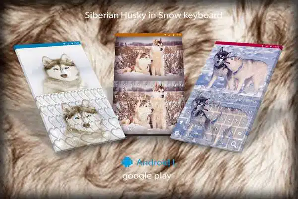 Play Husky in Snow keyboard