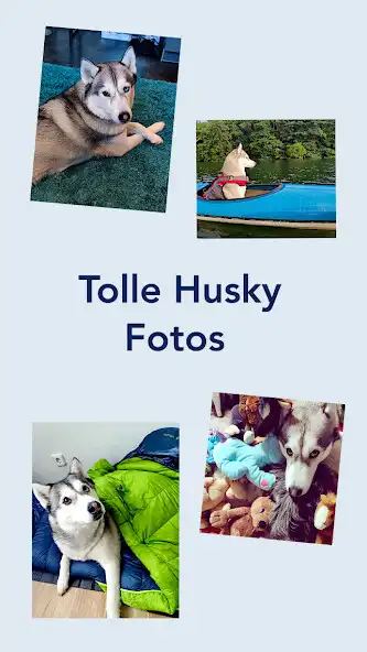 Play Husky Pairs - Paare Suchen as an online game Husky Pairs - Paare Suchen with UptoPlay
