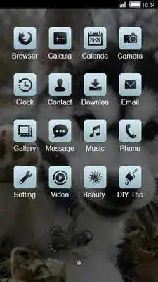 Play Husky Puppy CLauncher Theme