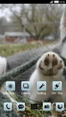 Play Husky Puppy CLauncher Theme