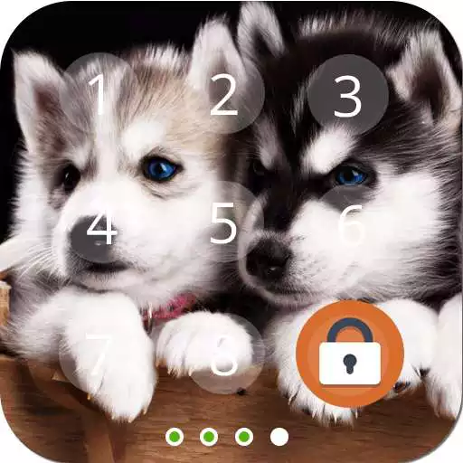 Free play online Husky Puppy Screen Lock APK Free play online Husky Puppy Screen Lock APK