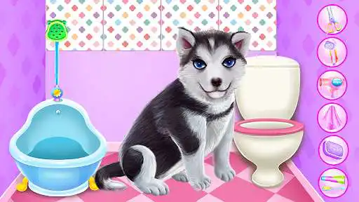 Play Husky Puppy Spa Salon  and enjoy Husky Puppy Spa Salon with UptoPlay