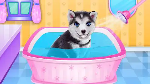 Play Husky Puppy Spa Salon as an online game Husky Puppy Spa Salon with UptoPlay