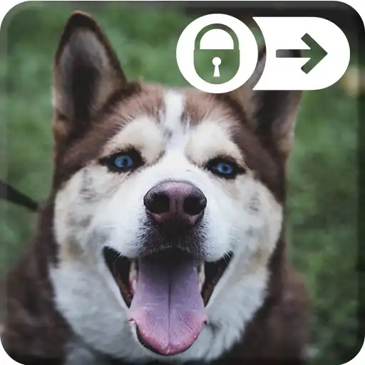 Play Husky Wallpapers Dog Puppy Smart Screen Lock APK