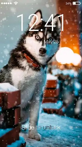 Play Husky Wallpapers Dog Puppy Smart Screen Lock  and enjoy Husky Wallpapers Dog Puppy Smart Screen Lock with UptoPlay