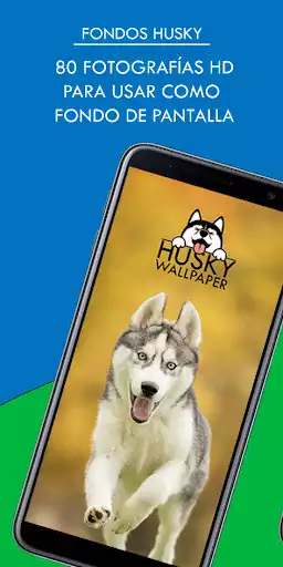 Play APK Husky Wallpapers HD and enjoy Husky Wallpapers HD with UptoPlay com.besthd.hashiqi Play APK Husky Wallpapers HD and enjoy Husky Wallpapers HD with UptoPlay com.besthd.hashiqi