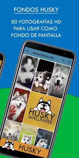 Play APK Husky Wallpapers HD and enjoy Husky Wallpapers HD with UptoPlay com.besthd.hashiqi Play APK Husky Wallpapers HD and enjoy Husky Wallpapers HD with UptoPlay com.besthd.hashiqi
