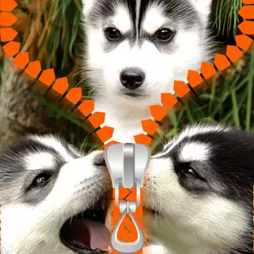 Free play online Husky Zipper Lock Screen APK Free play online Husky Zipper Lock Screen APK