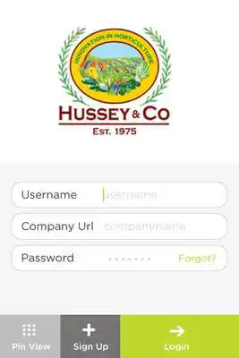 Play Hussey and Co