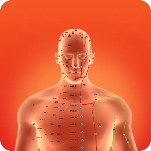 Play Huyệt vị Kinh Mạch APK Play Huyệt vị Kinh Mạch APK