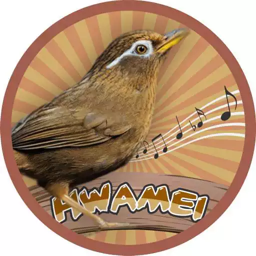 Free play online Hwamei (Garrulax canorus) APK Free play online Hwamei (Garrulax canorus) APK