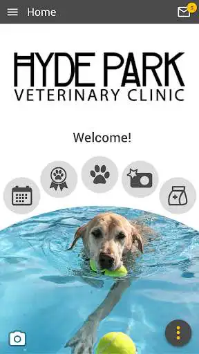 Play Hyde Park Vet  and enjoy Hyde Park Vet with UptoPlay
