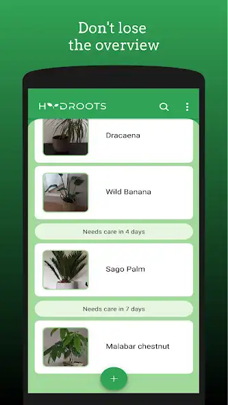 Play Hydroots - Plants watering as an online game Hydroots - Plants watering with UptoPlay