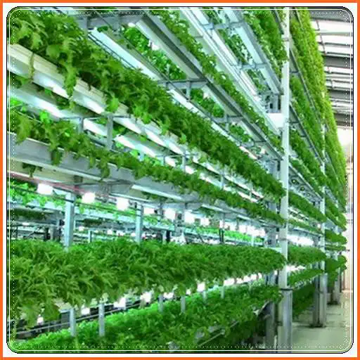 Play hydroponic gardening APK