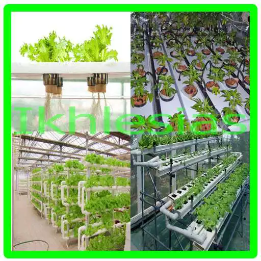 Run free android online Hydroponic Planting System Ideas APK