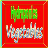 Free play online Hydroponics Vegetables APK Free play online Hydroponics Vegetables APK