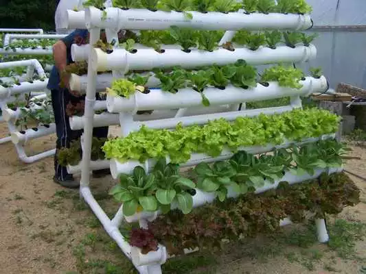 Play Hydroponic System Designs