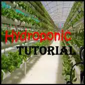 Free play online Hydroponic Tutorial APK Free play online Hydroponic Tutorial APK