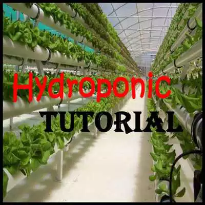 Play Hydroponic Tutorial