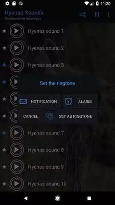 Play Hyenas Sounds Play Hyenas Sounds