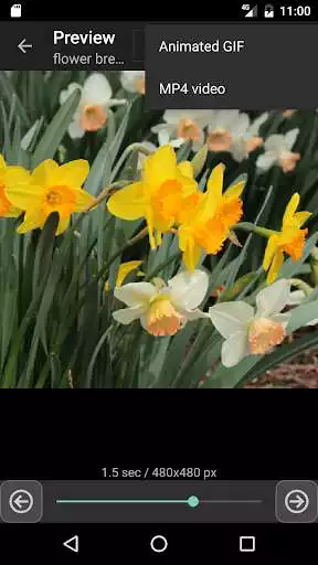 Play Hyperion Photo Animator as an online game online Hyperion Photo Animator with UptoPlay com.jepostudios.hyperion Play Hyperion Photo Animator as an online game Hyperion Photo Animator with UptoPlay