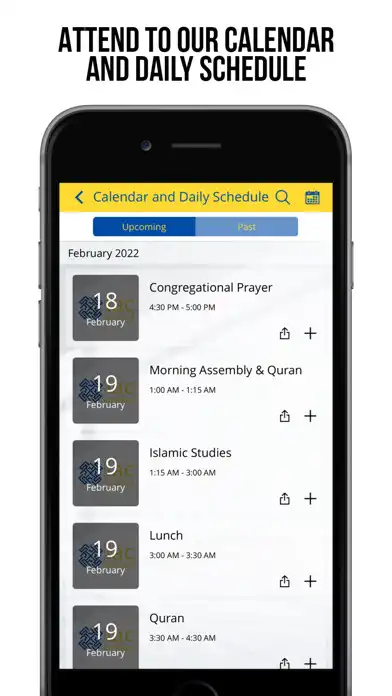 Play IAC School as an online game IAC School with UptoPlay