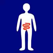 Free play online IBD Diary APK Free play online IBD Diary APK