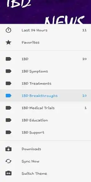 Play IBD News as an online game IBD News with UptoPlay