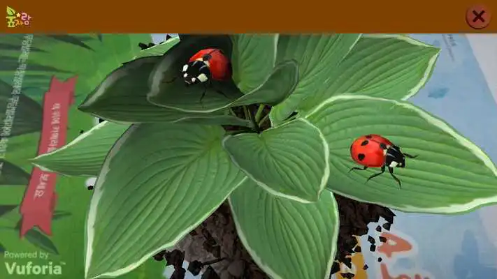 Play iBugs