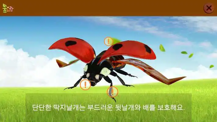 Play iBugs