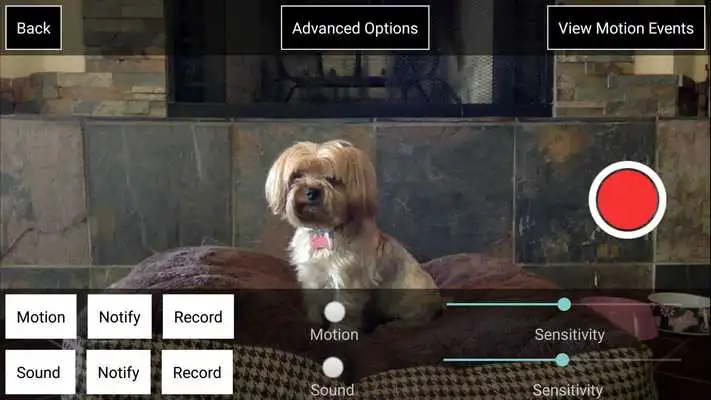 Play iCam Pro - Webcam Streaming