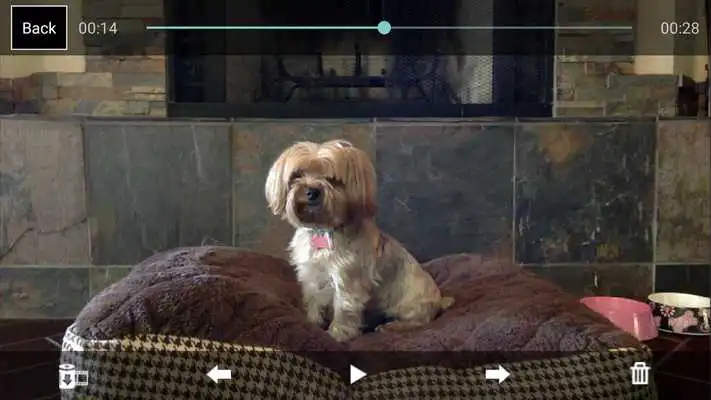 Play iCam Pro - Webcam Streaming