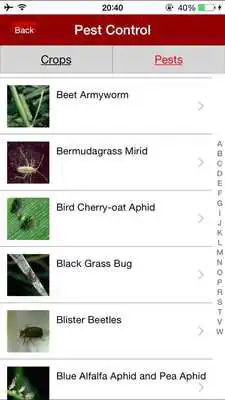 Play iCaterpillar Pesticides Data