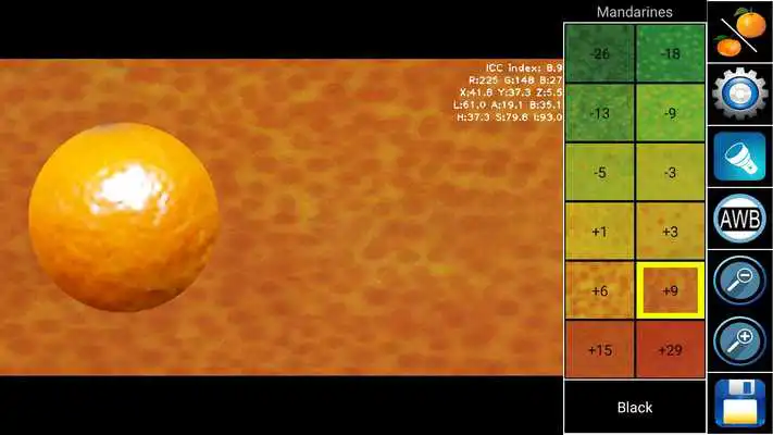 Play ICC-Calc Play ICC-Calc