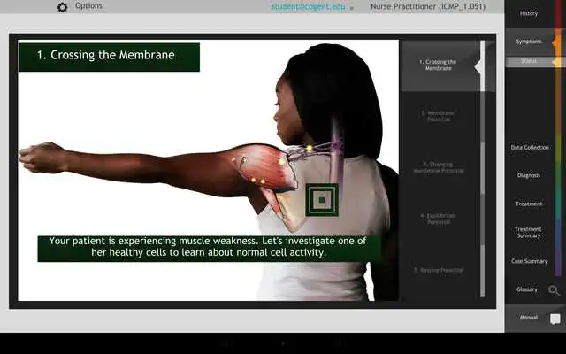 Play IC: Cell Membrane Potential