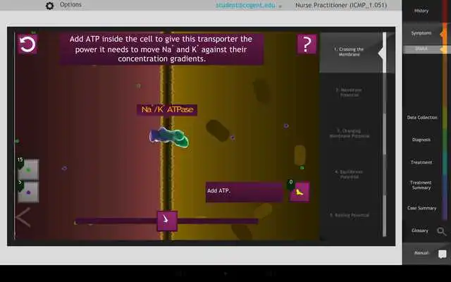 Play IC: Cell Membrane Potential