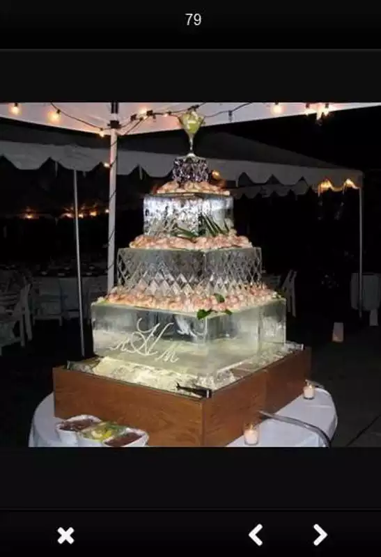 Play Ice Carving Design Ideas