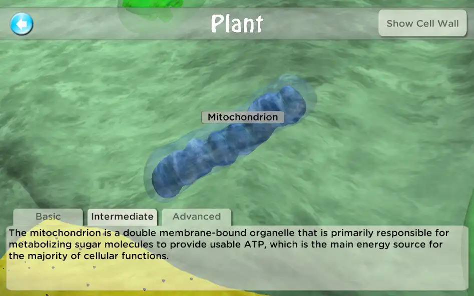 Play i-cell