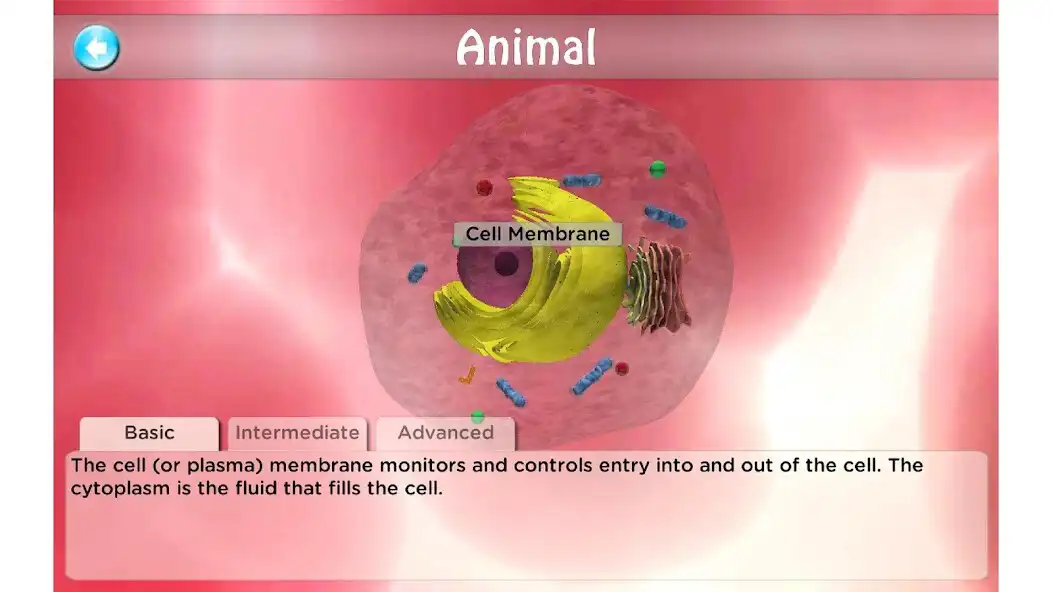 Play i-cell