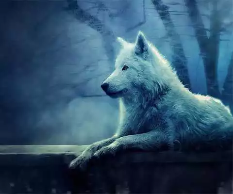 Play Ice Wolf 3D Live Wallpaper