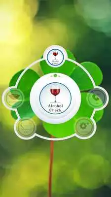 Play iCheck All Play iCheck All