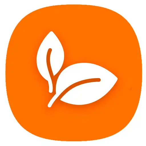 Play iCook APK Play iCook APK