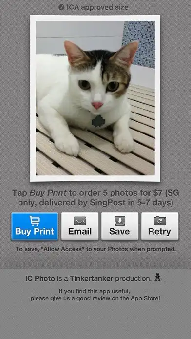 Play IC Photo Singapore as an online game IC Photo Singapore with UptoPlay